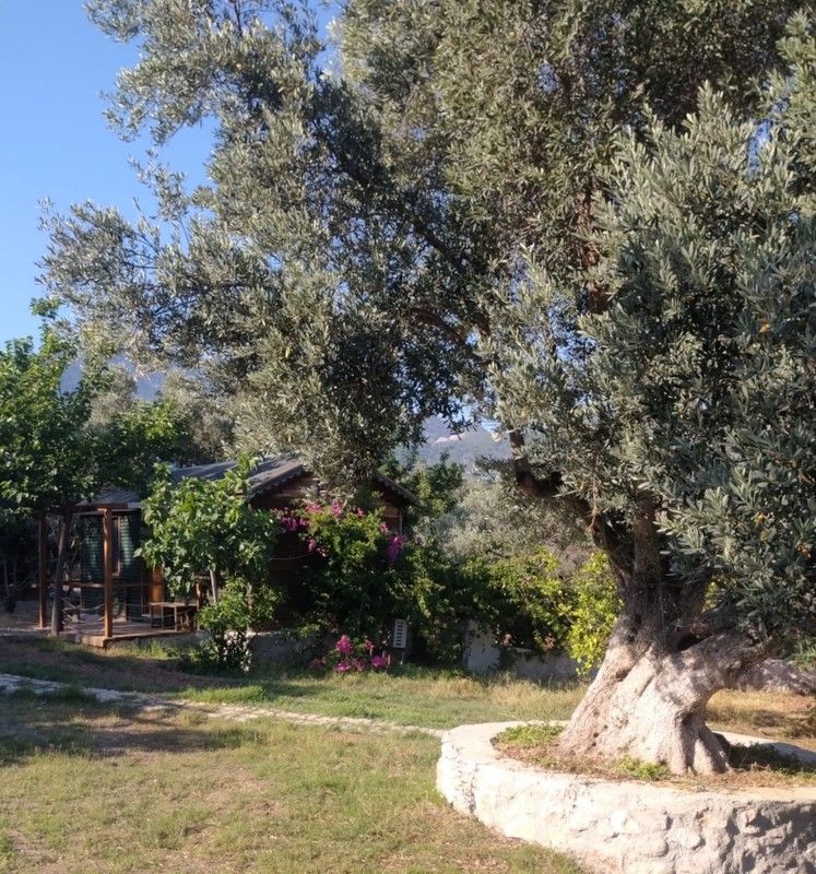 Bahar Garden Datça