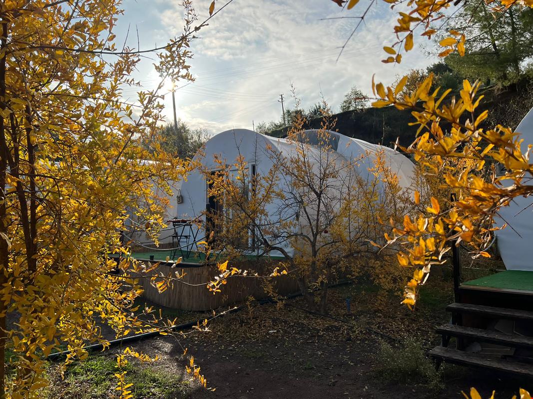 Evergreen Glamping