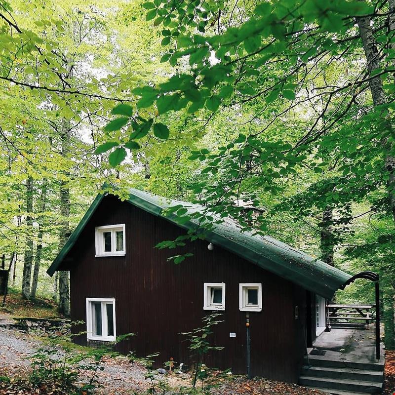 Habitat Mesire Evleri Yedi Göller Milli Parki