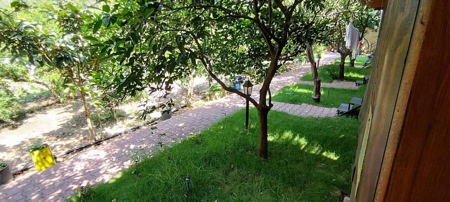 Olympos Varuna Pansiyon Olympos Varuna Pansiyon