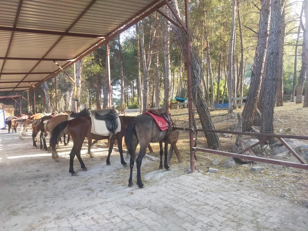 Pine Village Bungalows Ölüdeniz