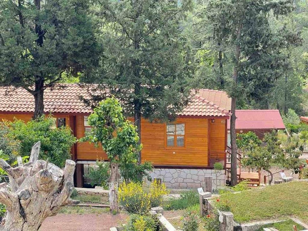 Trinitys Forest Bungalows