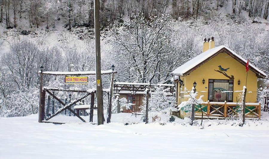 Ağva Tree House