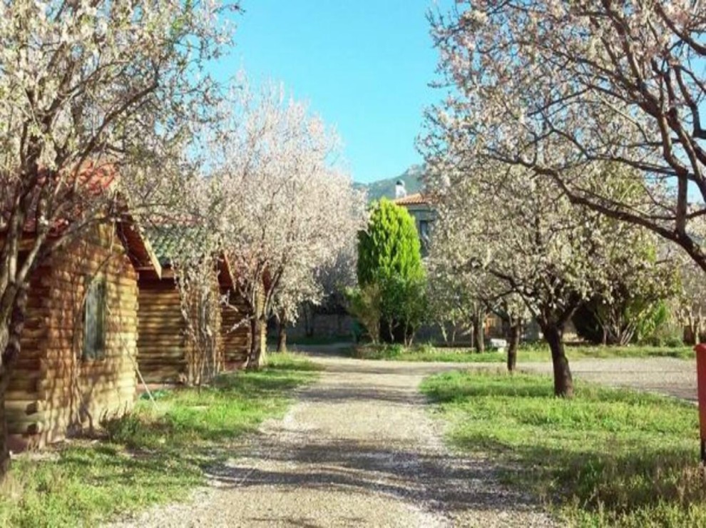 Gülbahar Pansiyon Bungalow Restaurant