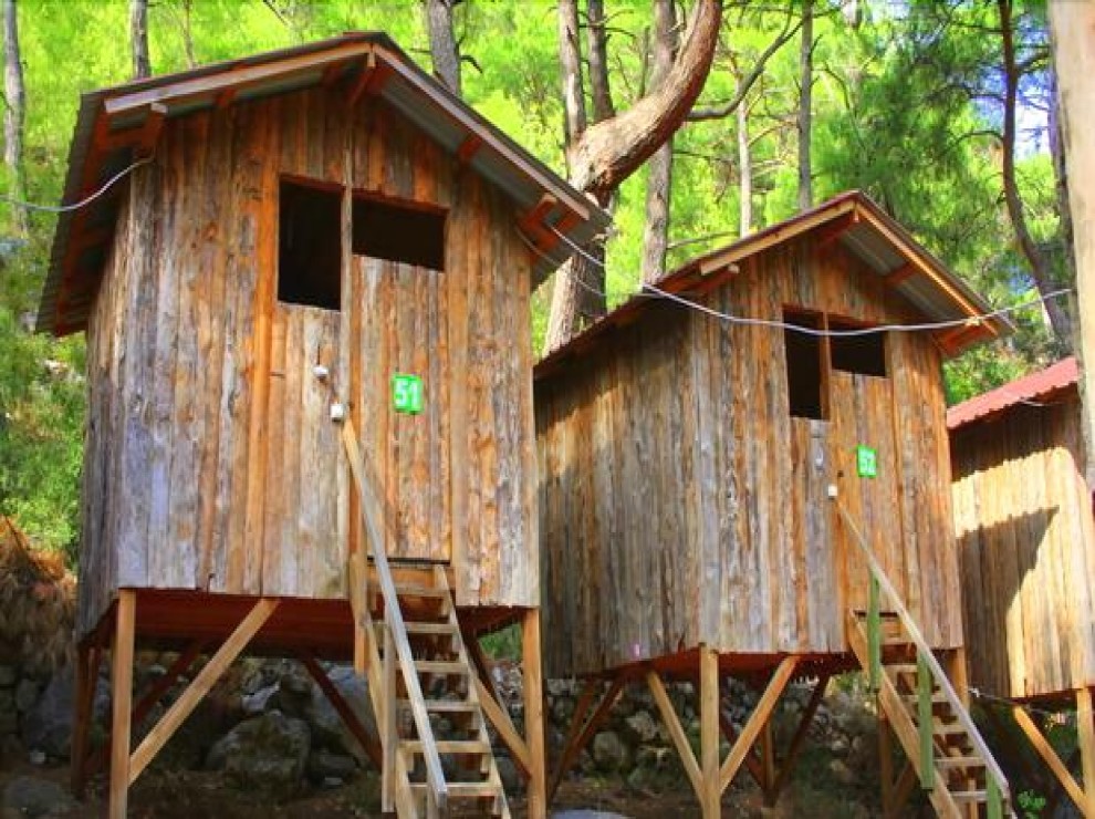 Saban Tree Houses